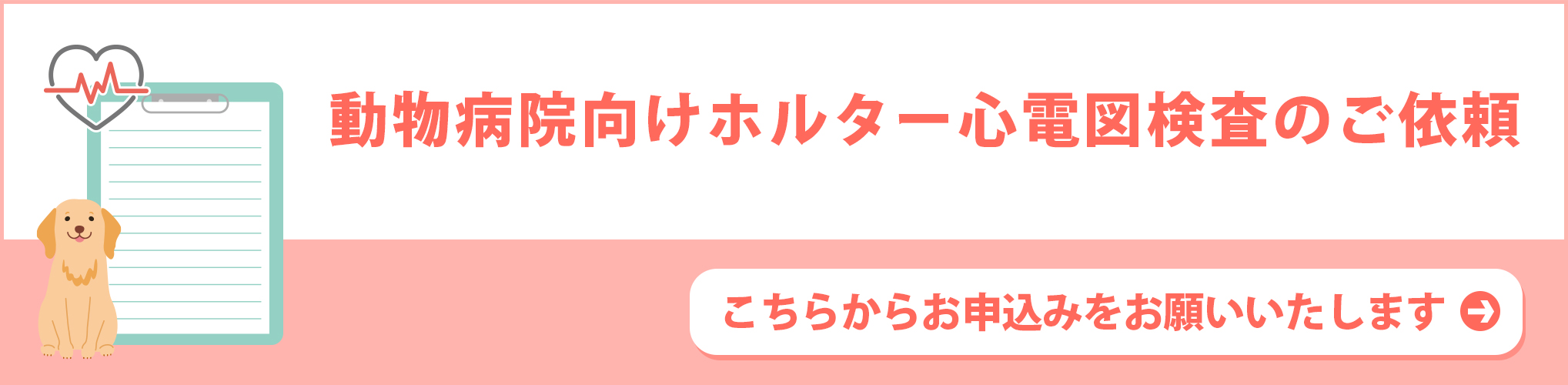 動物病院様向け心電図検査