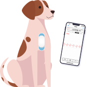 duranta(デュランタ)のホルター心電図